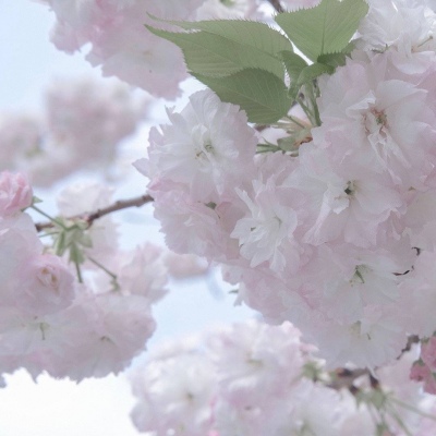 Furry绘画构图技巧兽圈群